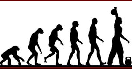 evolucio 2