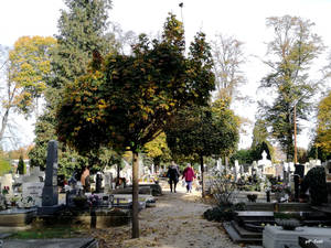 Rendezett temetők várják a hozzátartozókat