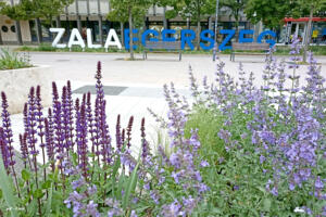 Zalaegerszeg legszebb fotópontjai: Szelfizz a város szívében és a természetben! Zalaegerszeg legszebb fotópontjai: Szelfizz a város szívében és a természetben!