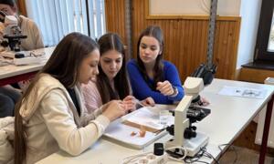 Lezrult a Zalaegerszegi Zrnyi Mikls Gimnzium Selye Jnos-diklabor projektje