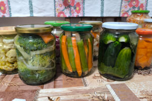 Fermentálás a jó emésztésért Fermentálás a jó emésztésért