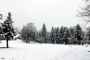 Első hó Zalaegerszegen