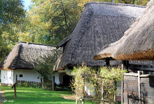 Konferencia a skanzen fejlesztsrl