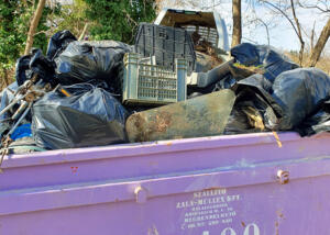 Eltávolították az illegális hulladékot Botfán