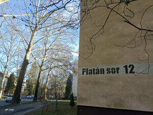 Harminc�t �ve j�runk a Plat�n soron a Lenin �t helyett