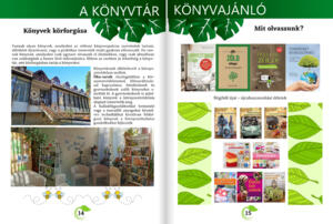 Online magazin a hulladkcskkents jegyben