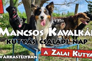 Mancsos Kavalkd - Kutys csaldi nap