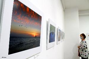 Természetfotók a Gönczi Galériában Természetfotók a Gönczi Galériában