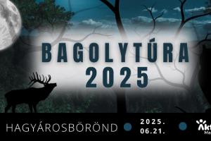 Bagolytúra Hagyárosbörönd 2025