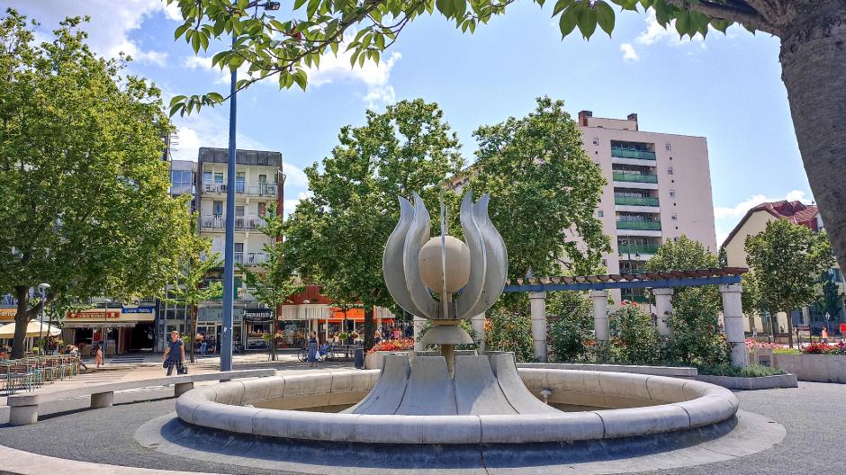 Negyvenves Zalaegerszeg jelkpe, a tulipnos szkkt