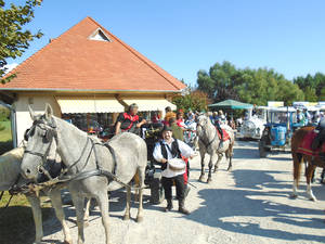 Alsphoki szreti vgadalom