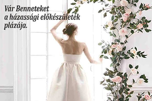 Wedding Show