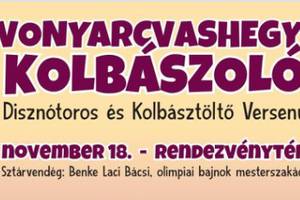Vonyarcvashegyi Kolbszol