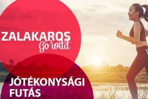 Jtkonysgi futs 2018