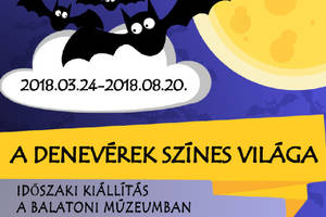 A denevrek sznes vilga