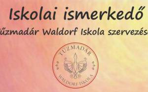 A Waldorf-iskola pedaggija s mindennapi gyakorlata cm elads