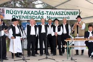 Rgyfakads - Tavasznnep