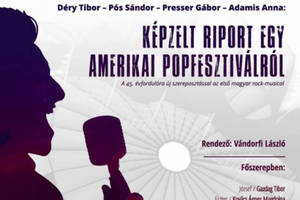 Kpzelt riport egy amerikai popfesztivlrl